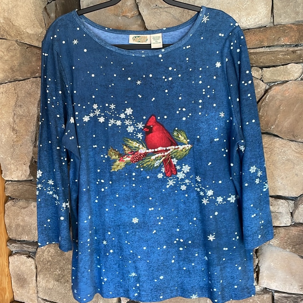 Collections ETC Christmas shirt